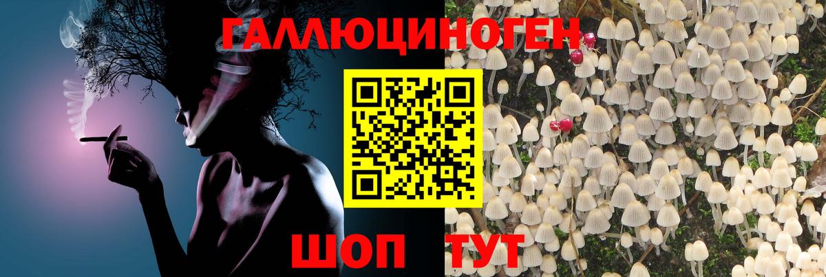 Псилоцибиновые грибы Psilocybe Кумертау